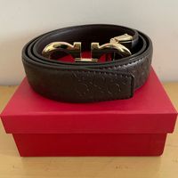 brown belt+Gold buckle
