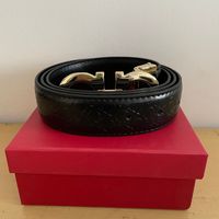 Black belt+ Gold buckle