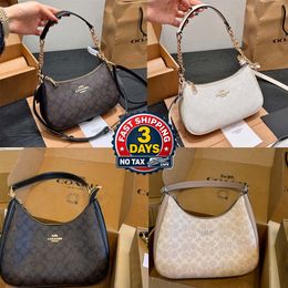 Teri 29cm coaohbagas RIGHT logo pink WOW Teri 25 shoulder bag Designer Bags 2026 Trends shoulder bag crossbody bag wallet purse sac handbag 12A.